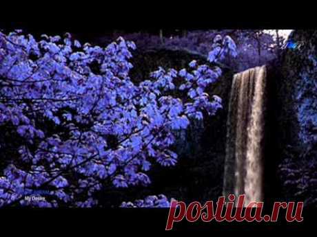 ♡ OMAR AKRAM - My Desire - YouTube