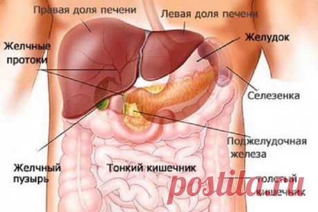 СИГНАЛЫ, УКАЗЫВАЮЩИЕ НА ЗАБОЛЕВАНИЕ ПЕЧЕНИ
#Су_Джок #Ангелина_Пасхалиди 
Печень называют самым немым органом, в ней нет нервных окончаний, поэтому она и не болит. А если ее болезни и дают о себе знать, то такими неожиданными признаками, что вы не заподозрите настоящую причину.
Человек долгие годы может даже не подозревать, что здоровье его печени нарушено.

Орган находится в специальной капсуле, которая представляет собой двухслойную оболочку.
Болевые или неприятные ощущен...