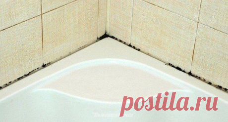 Как избавиться от плесени и грязных швов между плиткой?
