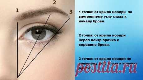 Бровист показала, как с помощью одного крестика, редкие брови выглядят густыми, а форма получается идеальная с первого раза | Книга рецептов молодости | Яндекс Дзен