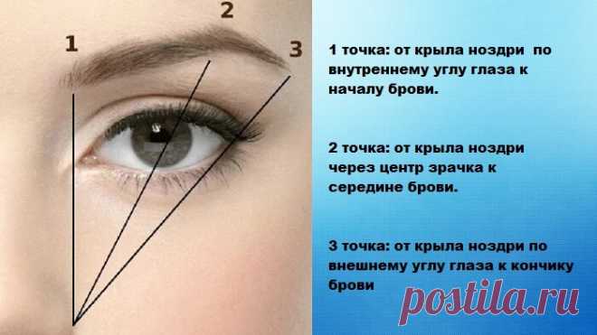 Бровист показала, как с помощью одного крестика, редкие брови выглядят густыми, а форма получается идеальная с первого раза | Книга рецептов молодости | Яндекс Дзен