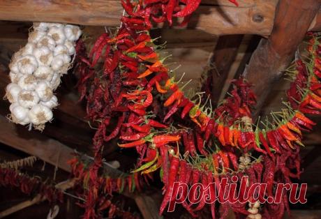 СВЯЗКА КРАСНОГО ПЕРЦА - ""АСТРОЛОГИЯ,НУМЕРОЛОГИЯ, НЕПОЗНАННОЕ - Группы Мой Мир