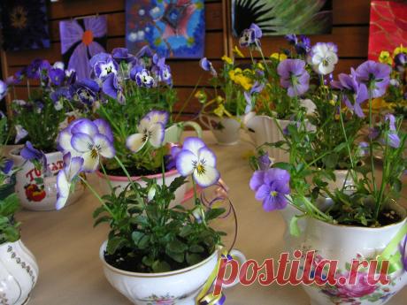 Garden pot decoration - Google Search