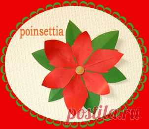 型紙つき☆飾り付けに使えるポインセチア切り紙 ( その他芸術、アート ) - オリガミ ヲ キリガミ - Yahoo!ブログ