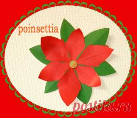 型紙つき☆飾り付けに使えるポインセチア切り紙 ( その他芸術、アート ) - オリガミ ヲ キリガミ - Yahoo!ブログ