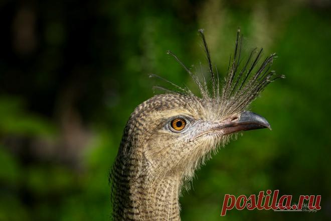 Portrait Explore THW-Berlin's photos on Flickr. THW-Berlin has uploaded 234 photos to Flickr.