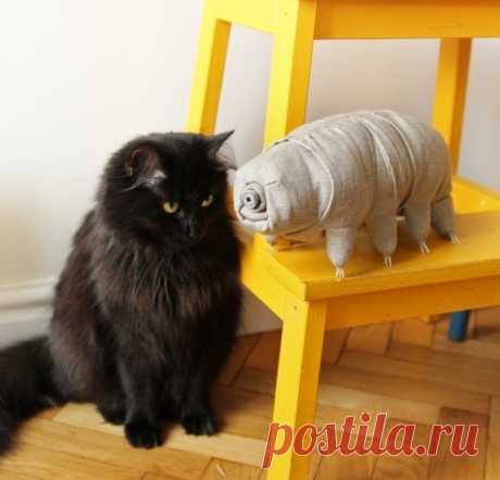 15 суровых котов, к которым и на хромой козе не подъедешь