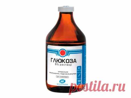 Прививки для рассады - Ботаничка.ru