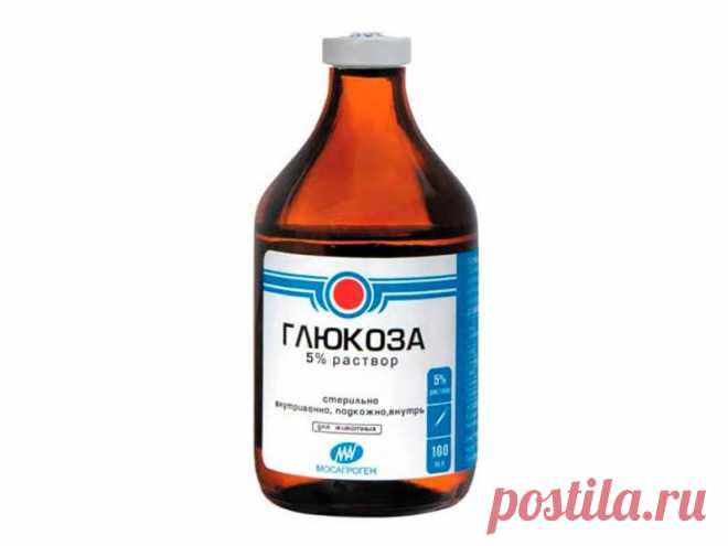 Прививки для рассады - Ботаничка.ru
