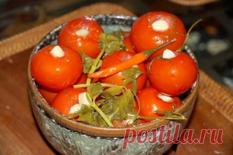 Блог сайта «Дачный участок»