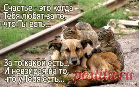 Интересные новости