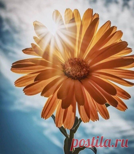 i (672×768)