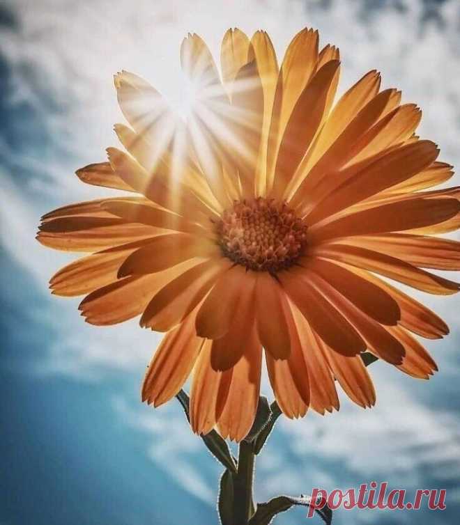 i (672×768)
