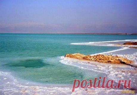 Солевые повязки исцеляют даже от рака | Эксклюзив