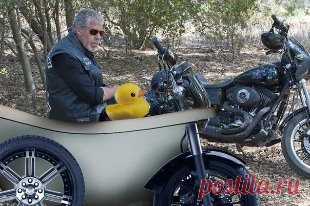 11 лайфхаков для ванной, которые сделают вашу жизнь удобнее. Туалетная и ванная комнаты являются, вероятно, самыми подходящими для творчества местами во всем доме. Началось все с Архимеда, который с криком «Эврика!» выскочил из ванной, чтобы известить всех об открытом им законе гидростатики, и продолжается по наше время. Это неудивительно, ведь где еще мы можем хоть ненадолго остаться наедине с собой и со своими мыслями? В этом обзоре мы хотим познакомить вас с некоторыми примерами «туалетных»…