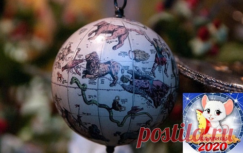 Крыса очень практична, плодовита и романтична, поэтому основные события года будут касаться карьеры, бизнеса, финансов и любовных отношений. Увеличится число романтических отношений, бурных романов, новых знакомств. Крыса наделяет людей храбростью, инициативностью и интуицией.
