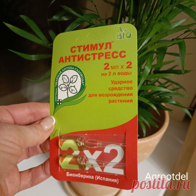 Кто хочет стать лимонионером🍋, или какие цитрусы хорошо выращивать дома: agrootdel — ЖЖ