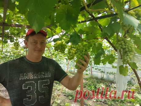Евгений Горовой: «свое дело начал с маленькой теплички. Сейчас у меня полгектара теплиц»