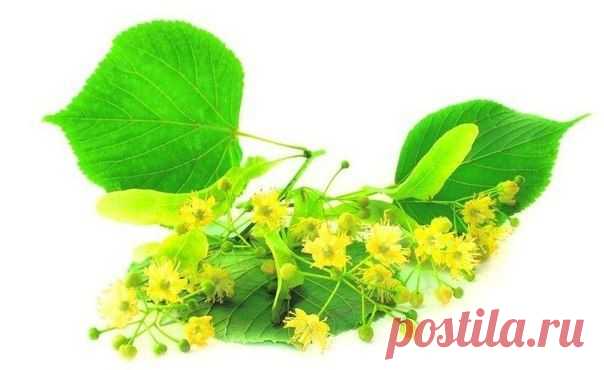 Как понизить высокую температуру тела без таблеток!