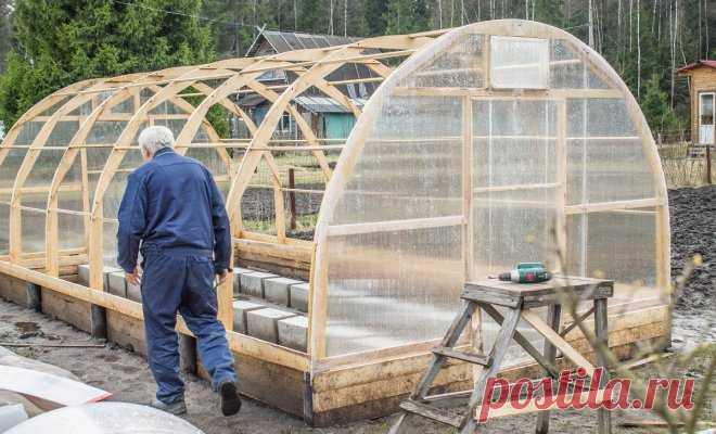 Как правильно ухаживать за теплицей из поликарбоната