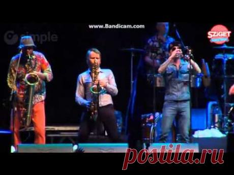 Ленинград-Ехай нахуй Sziget 2013