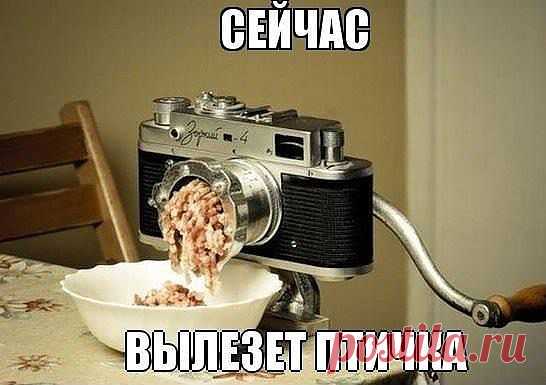 FISHKI.NET - Фотографии Хроники | Facebook
