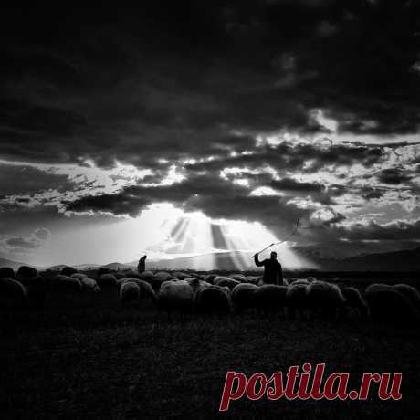 Фотограф Hojjat Hamidi