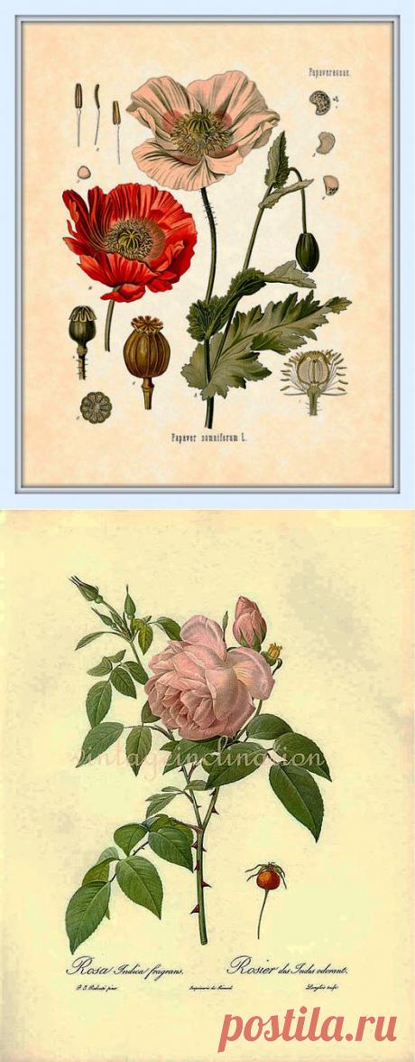 Ну очень красивые пасхальные яйца) Декупаж.