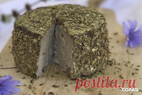 Queso fermentado de soja germinada y nueces - Receta