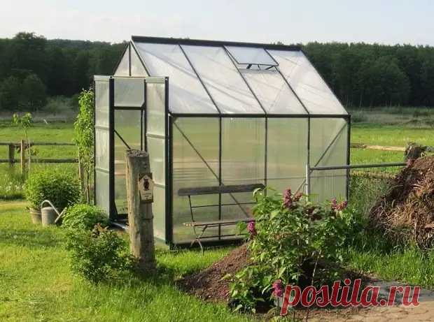 Делаем парник из поликарбоната: лучшие идеи и конструкции - Наша дача - 22 января - 43290512719 - Медиаплатформа МирТесен