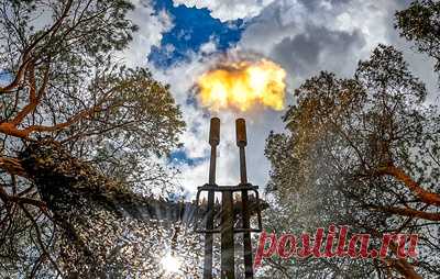 Российские средства ПВО сбили за сутки 259 дронов ВСУ. Также уничтожены две управляемые ракеты большой дальности "Нептун"
