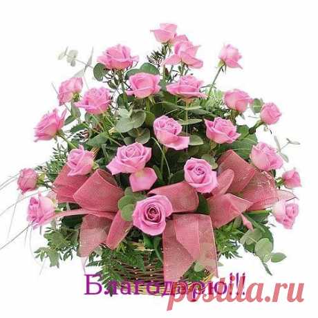 Программы для рукоделия