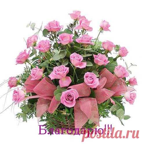 Программы для рукоделия