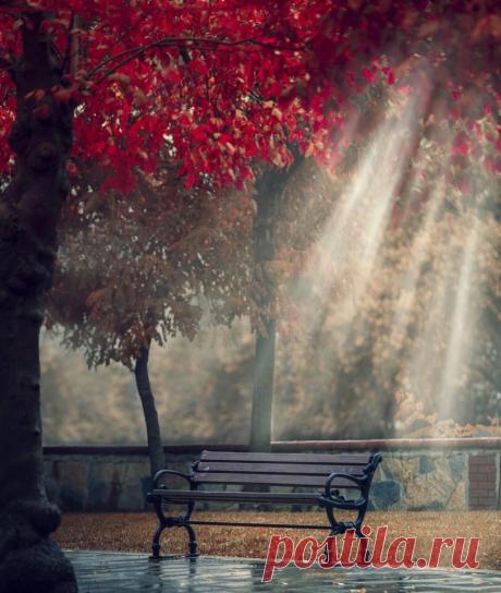 #Турция@discoverygroup