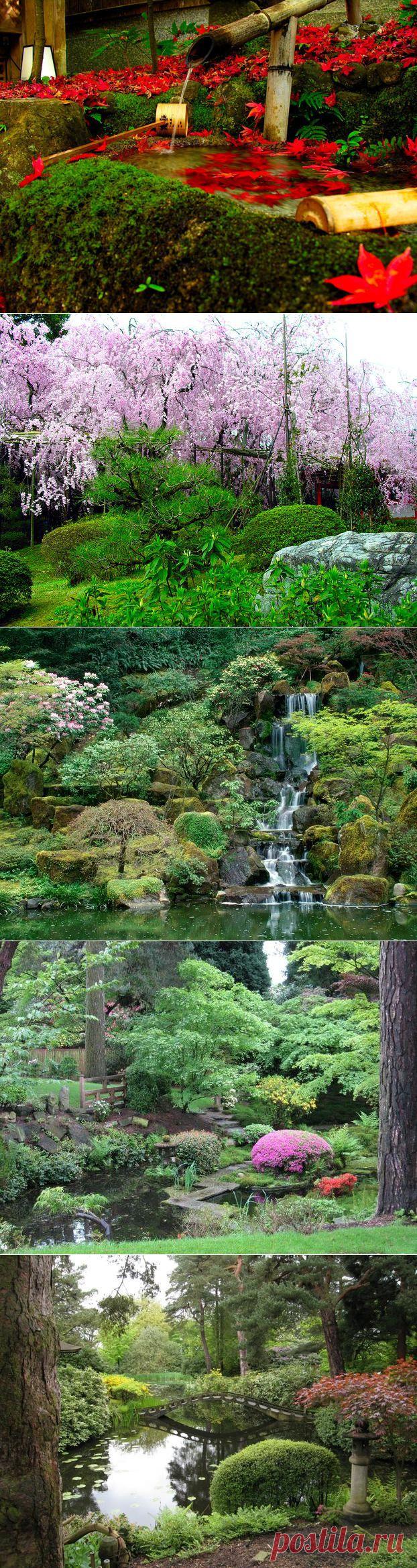 Японский Zen-сад .