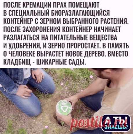 Как вам такая задумка?