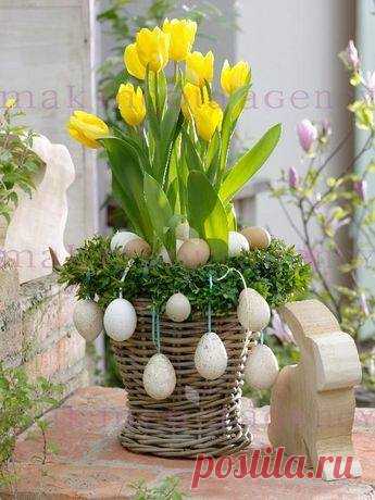 (7) Facebook