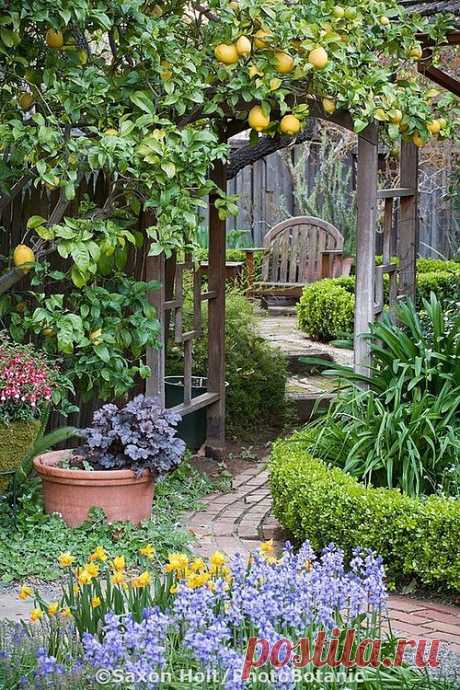 Flower Garden Gate | Amazing Pictures - Amazing Pictures, Images, Photography from Travels All Aronud the World