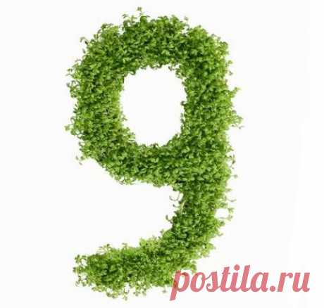 Диета №9 при сахарном диабете - рецепты и основная информация