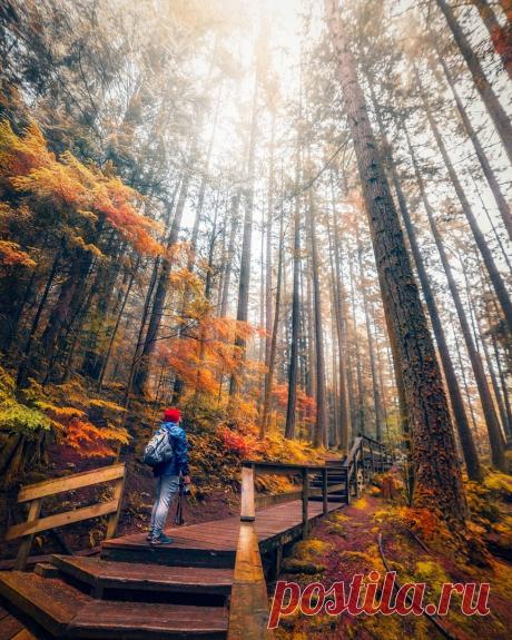 Я люблю ✿ ЦВЕТЫ ✿ | I ♥ Flowers