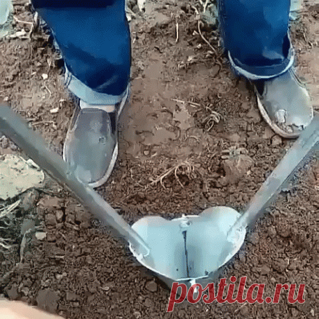 И додумались же!