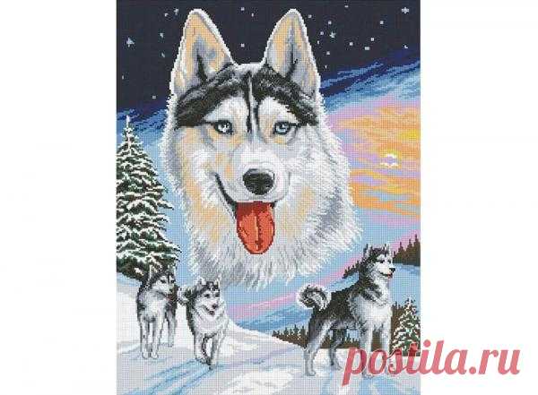 вышитые хаски на машинке: 5 тыс изображений найдено в Яндекс.Картинках