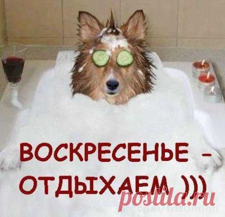 Уникальная методика &quot;И чё?&quot; и еще немного юмора)) » Женский Мир