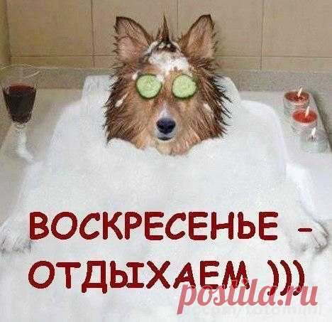 Уникальная методика "И чё?" и еще немного юмора)) » Женский Мир
