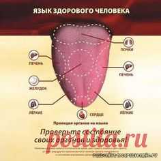 ДИАГНОСТИКА БОЛЕЗНЕЙ