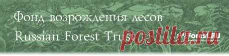 Интернет возрождает леса -- Фонд возрождения лесов -- Russian Forest Trust