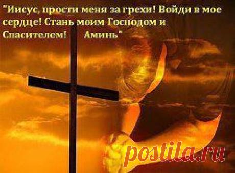 (80) Одноклассники