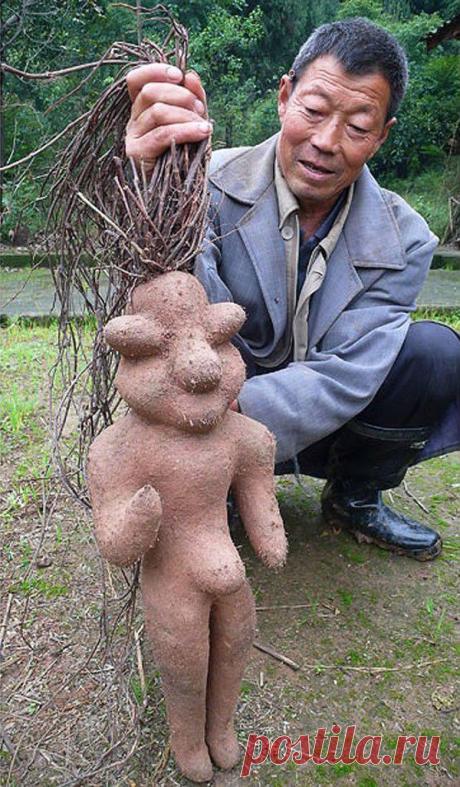 Жуткие и необычные растения | Хвастунишка