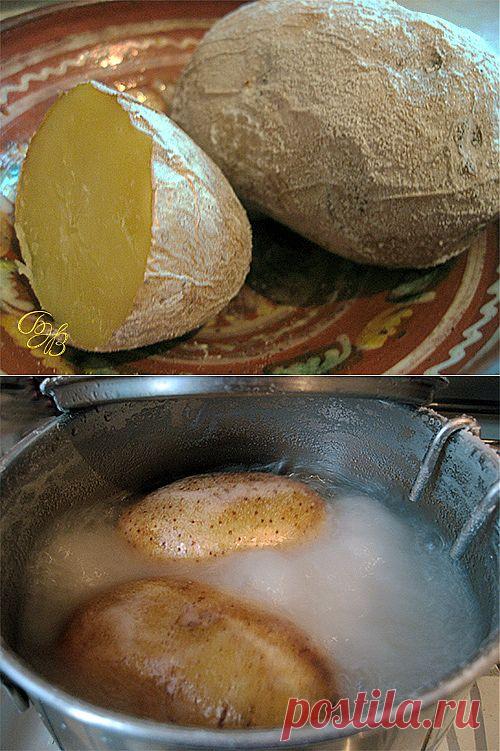 Картофель "ФРАЙТ".