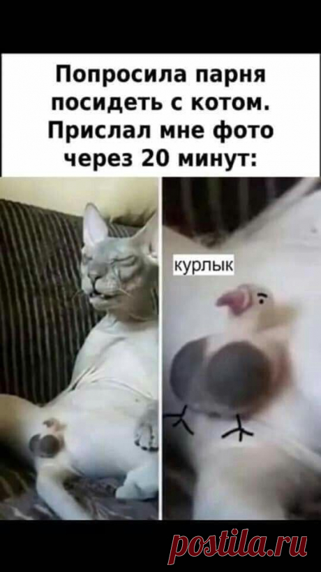 Зарядитесь позитивом в воскресный вечер.